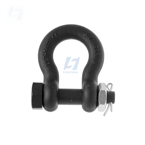 <span class=keywords><strong>G2130</strong></span> chúng tôi loại Dee xiềng xích thả giả mạo thép mạ kẽm Neo cung gian lận phần cứng với an toàn boltpin cho các ứng dụng khai thác mỏ - Product Image 1