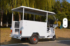 Triciclo Eléctrico de 3 Ruedas para Pasajeros con Toldo, Carrocería Abierta, Voltaje de 60v para Adultos - Product Image 4