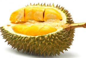 Maîtrise du Durian-Variétés exportées pour l'excellence culinaire - Product Image 6