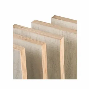 ไม้อัดไม้เนื้ออ่อนสำหรับงานก่อสร้างไม้อัดไม้สนเบิร์ชขั้วโลก - Product Image 1