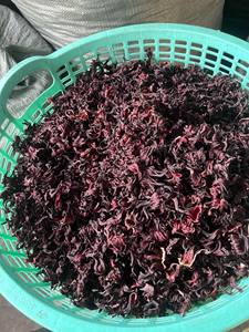 Fleurs d'hibiscus séchées, roselle séchée à l'air pour la préparation de thé et les boissons, Vietnam par 99 Gold Data - Mme Violet - Product Image 2