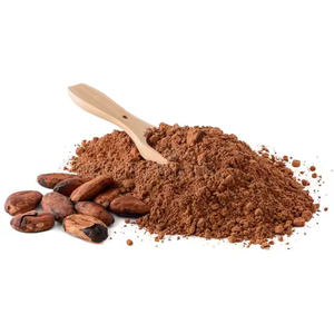 Cacao en Polvo Holandés de Primera Calidad al por Mayor, Bolsa a Granel de 25 kg, Ingredientes de Cacao de Alta Calidad para Bebidas de Chocolate, Sudáfrica - Product Image 2