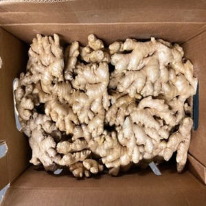 Nouvelle Récolte de Gingembre Jeune en Gros – 100% Naturel, Sain et Frais – Racine de Gingembre à Vendre - Product Image 1