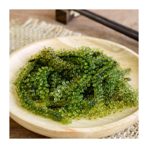 Uva de mar fresca y deshidratada de Vietnam: exportador a granel de uva de mar de primera calidad que ofrece excelentes ofertas - Product Image 6