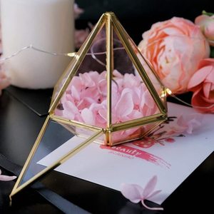 Art India <b>Terrarium</b> Made of Brass and Glass Classic Style Customized Size for Home and Office Decoration Gold Color - Product Image 3