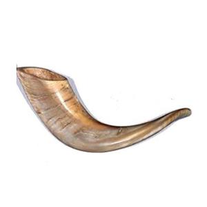 Bocina Natural de cabra para decoración del hogar, bocina de tamaño personalizado, gran oferta - Product Image 4
