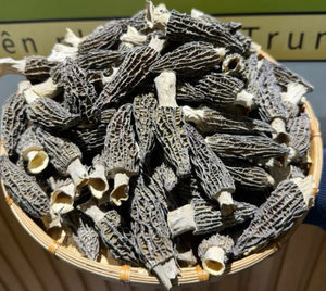 Champignon Morel naturel séché au soleil du Vietnam fabriqué à partir de champignons de la forêt sauvage, parfait pour une utilisation au restaurant - Product Image 4