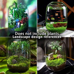 DIY Klares Glas-Pflanzenterrarium 16x22cm Sukkulenten-Luftpflanzenbehälter Farn-Mikrolandschaft-Vase Heim- und Büro-Terrarium-Gläser Großhandel - Product Image 2
