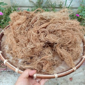 สาหร่ายทะเลสีทองแห้งคุณภาพสูงจากเวียดนาม - Product Image 3