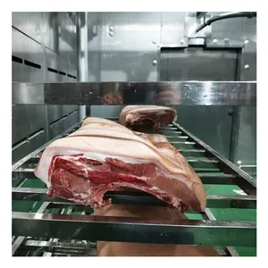 Commercial Low temperature and high humidity Fresh-keeping storehouse thermal storage meat thawing defrosting machine