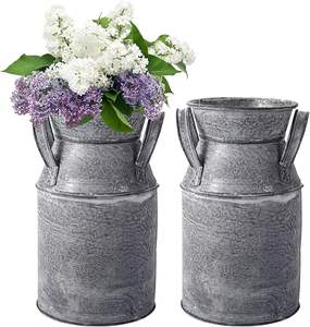 Maceta y maceta ecológica de hierro galvanizado pequeño rústico para uso en el suelo hogar cocina sala de estar decoración fresca para el hogar - Product Image 1