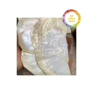 Matériau de coquille de nacre naturelle du Vietnam pour la fabrication de bijoux incrustation décoration de meubles en gros exportation en vrac - Product Image 6