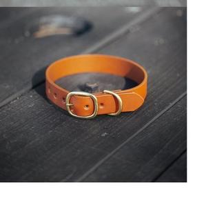Ensemble collier et laisse pour chien-25mm de large-marron foncé - Product Image 1