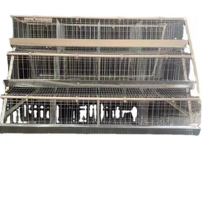 Structurally Solid Laying Hen Breeding Cages Provided Good Quality Chicken Farming Chicken Coop Chicken South Korea 128 Birds 62