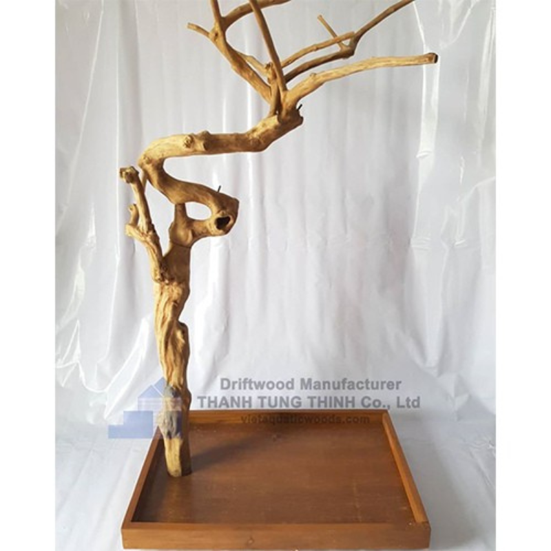 ธรรมชาติ