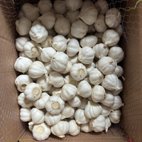 Ail frais blanc et rouge de nouvelle récolte, 5 cm, 25 kg, Chine, durée de conservation de 2 ans, à vendre