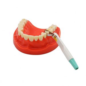 Herramienta Dental, Matriz de Banda, Sistema de Anillo Ajustable de Acero Inoxidable Estándar con Mango, Multiusos para Blanqueamiento Dental - Product Image 2