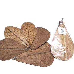 100% naturel séché indien Catappa plastique feuilles réservoir de poisson Aquarium accessoire Pack 250 en dessous de 10 cm / 3.93" - Product Image 1