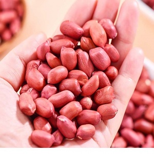 Cacahuete seco de alta nutrición de Vietnam para comidas y refrigerios saludables a un precio justo - Product Image 6