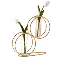 Vase à fleurs décoratif en fil métallique rond avec tube en verre et finition dorée, pour table de salon, pot à fleurs pour la maison