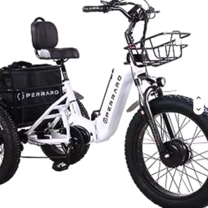 รถสามล้อไฟฟ้าทรงพลัง 750 วัตต์ สำหรับผู้ใหญ่ ระยะทางวิ่งไกล 65/130 ไมล์ - Product Image 2