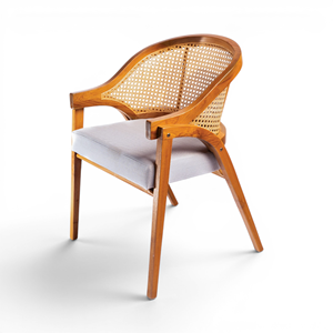 Silla de Comedor Ergonómica de Estilo Mid-Century con Respaldo Alto - Silla Ligera para Sala de Estar, Restaurante, Oficina en Casa - Product Image 1