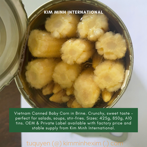 KMI ข้าวโพดกระป๋องบรรจุในน้ำเกลือจากเวียดนามเกรดพรีเมี่ยม - Product Image 3