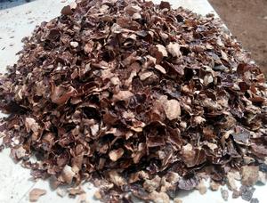 Cáscara de Anacardo Cruda Premium 100% Natural de Origen Vietnamita para Fabricantes de Piensos que Requieren Uniformidad y Alta Calidad - Product Image 5