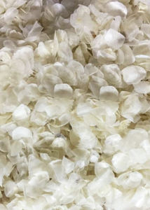 LAS ESCAMAS DE PESCADO TIENEN EL MEJOR PRECIO DEL MERCADO - Product Image 3