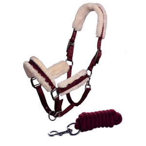 Bride de cheval en cuir fabriquée à la main dans le style de selle anglaise conçue pour la durabilité et la performance de confort dans divers extérieurs - Product Image 1