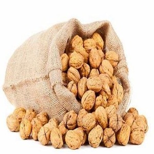 วอลนัทปอกเปลือกธรรมชาติ สดใหม่ ขายส่ง ส่งออก - Product Image 4