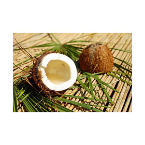 Prix bon marché noix de coco fraîche mature semi décortiquée - Product Image 1