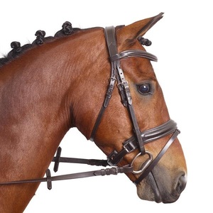 Wholesale Price Horse Bridle Wholesale Black Heavy Strong Duty Real Indian Leather Horse Bridle for Sale - Product Image 6