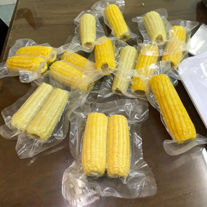 WHOLESALE FROZEN WHOLE BOILED CORN <b>READY</b> <b>TO</b> <b>EAT</b> WITH CLEAN LABEL QUALITY - Product Image 2