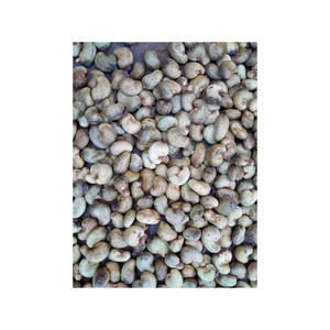 เม็ดมะม่วงหิมพานต์ดิบบรรจุในปอกระเจาหรือถุงสุญญากาศสำหรับการเก็บรักษาที่ยาวนาน - Product Image 2
