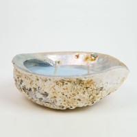 Ensemble cadeau unique artisanal naturel bougies en coquillage bougie parfumée ou non parfumée en coquillages d'ormeau