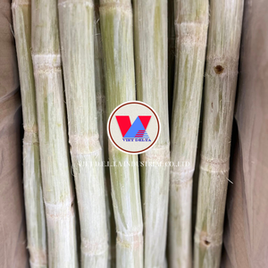 PIÈCES DE CANNE À SUCRE CONGELÉE | PUISSANCE DE PLANTES CRUTES | SUPPORT IMMUNITAIRE - Product Image 3