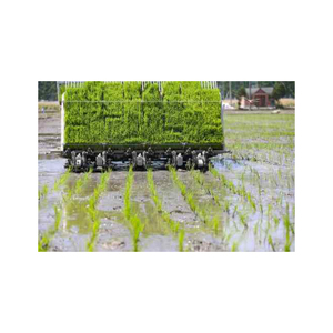 Transplantadora de arroz bastante usada lista para su envío con diseño duradero y calidad confiable - Product Image 2