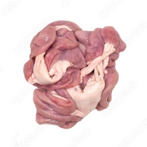 Fournisseur d'intestins de porc congelés bon marché - Product Image 3