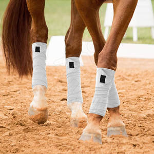 Etiqueta privada Logotipo personalizado Vendajes para montar a caballo ligeros transpirables - Product Image 5