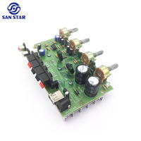 Profesyonel mini 12v 200W konsol oyunu 2 kanal bölüm güç kiti hifi ses pcb modülü stereo devre ses amplifikatörü kurulu