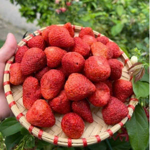 Fraises séchées vietnamiennes Pure Bonté pour vos clients - Product Image 3