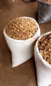 Nueces de Ogbono Crudas Secas de Primera Calidad, Venta al Por Mayor, Empaque de 25 KG, Larga Vida Útil para Procesamiento de Alimentos y Suministro a Granel - Product Image 2