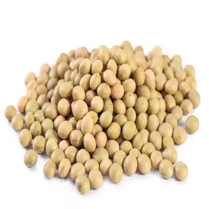 Biji kacang kedelai/kedelai Non Gmo dan biji kacang kedelai OEM kualitas tinggi kacang 100% kedelai organik harga murah