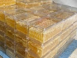 Miel cruda a granel de Vietnam para la industria alimentaria/Katty - Product Image 4