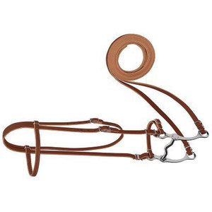 Arnés Cuero Po NY Brow Band Brida Hebilla de una sola mejilla Calzones Ajustable Western Headstall en Sunset Finish Training - Product Image 4