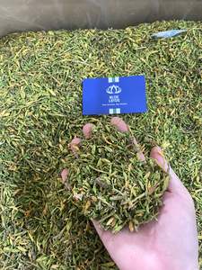 MEILLEURE FLEUR DE PAPAYE MÂLE SÉCHÉE AUX HERBES FLEUR SÉCHÉE BON THÉ DU VIETNAM VENTE TOTALE PRIX BON MARCHÉ + 84855014447 MS AMELIA - Product Image 5