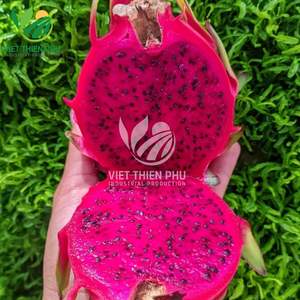 แก้วมังกรแช่แข็งออร์แกนิกจากเวียดนามได้รับการรับรองมาตรฐาน ISO บรรจุน้ำในภาชนะธรรมชาติรสหวานแบบทั่วไป - Product Image 3