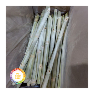 แท่งอ้อยแช่แข็ง IQF-สินค้าจำนวนมากสำหรับโซ่ปั่นและผู้นำเข้าอาหารทั่วโลก - Product Image 6