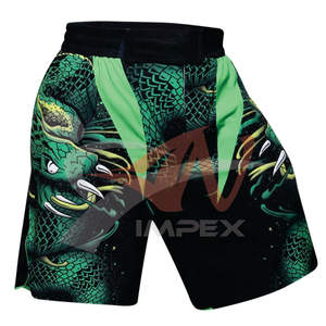 Cintura media 2025 Logotipo personalizado Impresión de alta calidad Peso ligero Hombres MMA Shorts disponibles en diferentes colores - Product Image 1